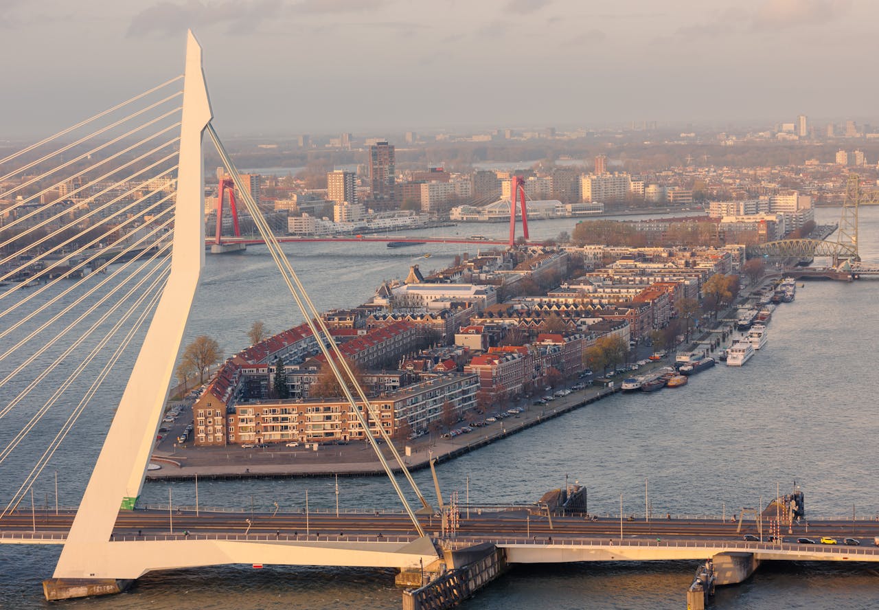 A scenic view of Erasmus Bridge in Rotterdam with the city's skyline and harbor in the background during sunset.